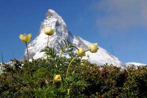 Meet(ing) the Matterhorn Meet(ing) the Matterhorn